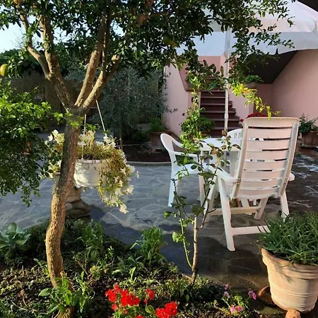 Da Zia Michelina Guest house Pontedera
